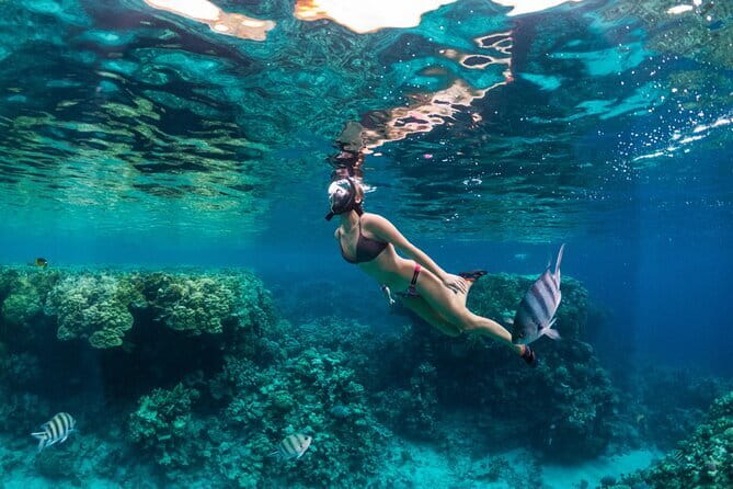 Bali Blue Lagoon Snorkeling Tour All Inclusive - Tanjung Jepun: Calmer water that builds confidence