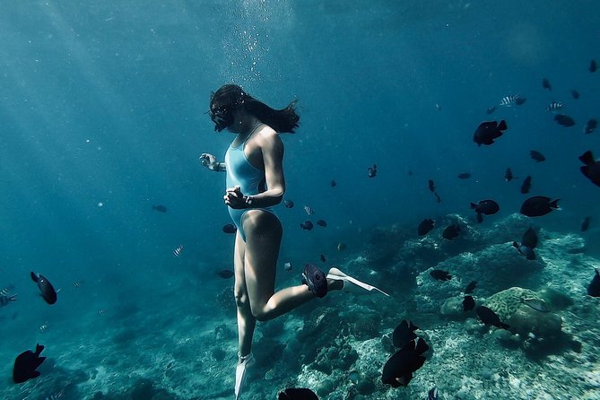 Bali Blue Lagoon Snorkeling with Optional Tour & Activities - In the Water: Coral, Fish, and the Wildlife You Can Look For