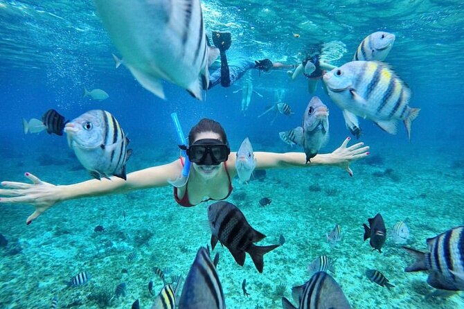Bali Blue Lagoon Snorkeling with Optional Tour & Activities - Price and Value: Is $12.22 Actually Fair?