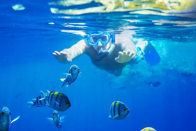 Bali Blue Lagoon Snorkeling with Private Transfer and Lunch - Key highlights worth knowing