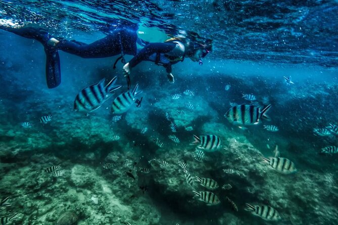 Bali Blue Lagoon Snorkeling with Private Transfer and Lunch - Blue Lagoon Snorkeling: What You’re Really Paying For