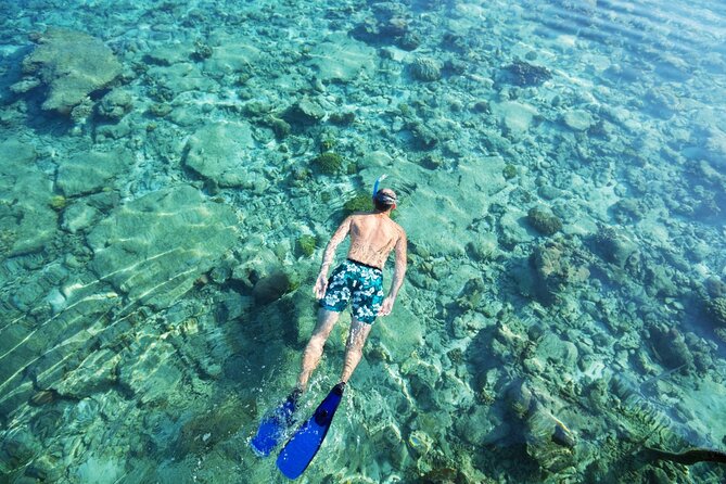 Bali Blue Lagoon Snorkeling with Private Transfer and Lunch - Price and Value at $42: When It’s a Smart Deal