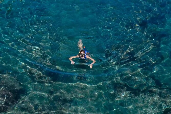 Bali Blue Lagoon Snorkeling with Private Transfer and Lunch - Who This Tour Fits Best (and Who Should Rethink It)