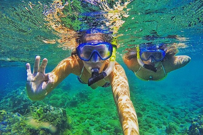 Bali Blue Lagoon Snorkeling with Private Transfer & Lunch - Traditional boat rides: short, sheltered, and practical