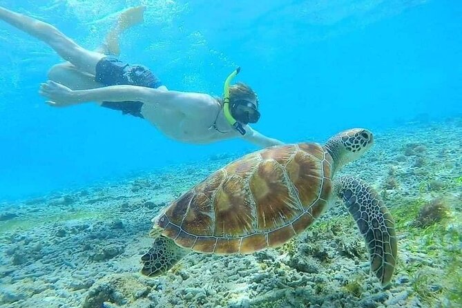 Bali Blue Lagoon Snorkeling with Private Transfer & Lunch - Lunch at Topi Inn Restaurant: good local food, limited choices