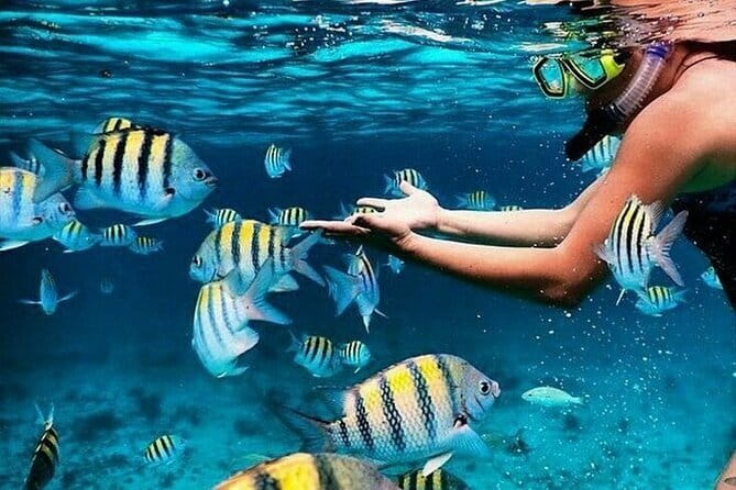 Bali Blue Lagoon Snorkeling with Waterfalls Tour - all included - Key highlights you’ll feel in the day