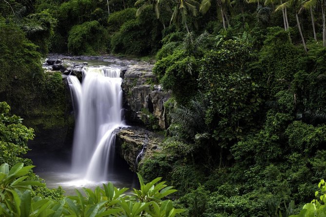Bali Breathtaking Waterfall Tour (Private & All-Inclusive) - The Guide Makes the Difference: Personalization and Photo Power