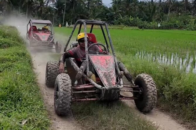 Bali Buggy UTV Adventure with Ubud River Rafting and Lunch - Your 1-Hour UTV Ride: Jungle Trails, Rice Fields, Rivers, and Mud