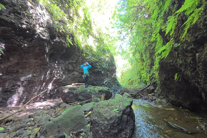 Bali Canyoning Trip – Explore Hidden Waterfalls & Gorges - North Bali Canyoning: what this day is really like