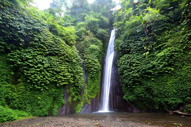 Bali Car-Charter: Amazing North Bali Tour - Why a chauffeur makes North Bali feel easier