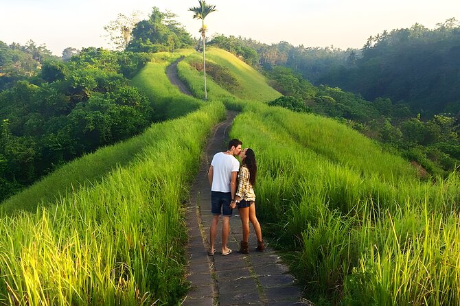 Bali Car-Charter: Go as your own trip to Ubud - Private Car Charter: What You Gain vs. a Typical Tour Bus
