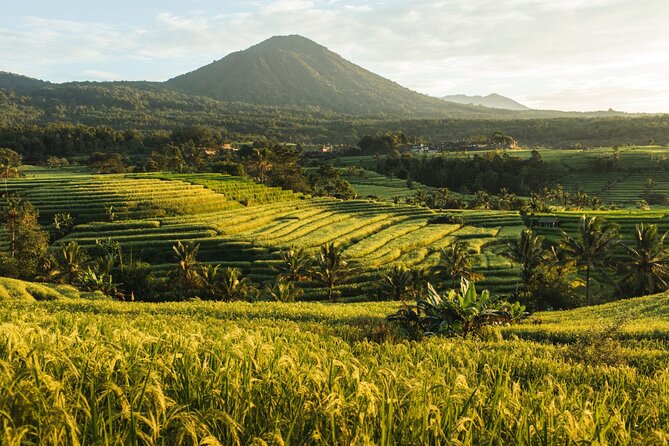 Bali Charm: Full-Day Bedugul and Tanah Lot Tour (UNESCO) - All Inclusive Tickets - Jatiluwih rice terraces (UNESCO): when the view keeps going