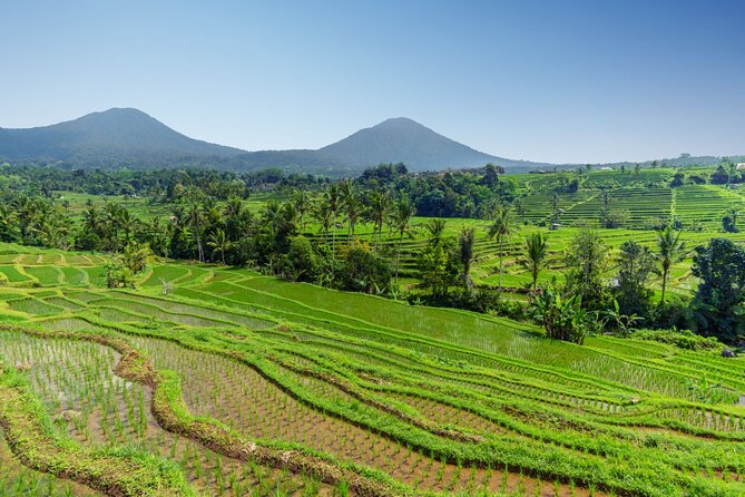 Bali Charm: Full-Day Bedugul and Tanah Lot Tour (UNESCO) - All Inclusive Tickets - How optional add-ons can work (and how to choose)