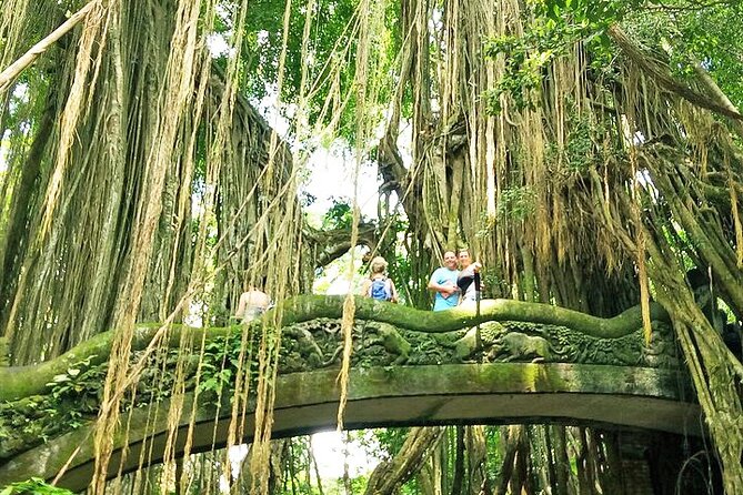Bali Cooking Class and Ubud Sightseeing Tour - The transport, pacing, and private-group value