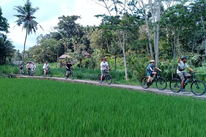 Bali Countryside Cycling Adventure - Coffee plantation tasting: quick, local, and not too long