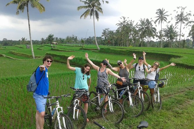 Bali Countryside Cycling Tour by Halo Bike Tour - From Kuta to quiet roads: why this tour feels like a reset