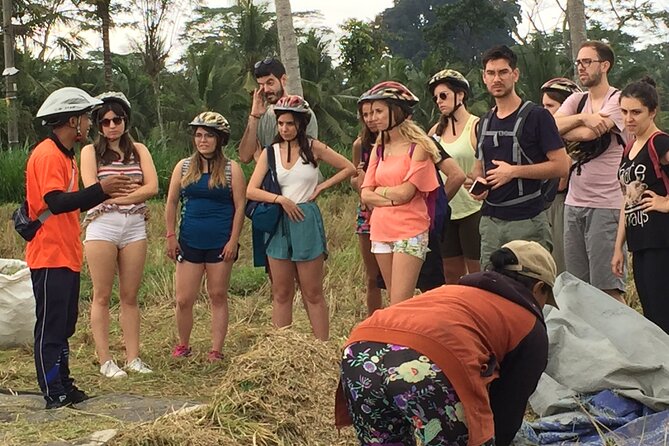 Bali Countryside Cycling Tour by Halo Bike Tour - Lunch at a Traditional Balinese home: included, cultural, and actually useful