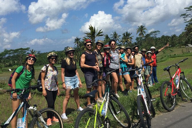 Bali Countryside Cycling Tour by Halo Bike Tour - Bicycles, helmets, and the comfort math behind “only $65”