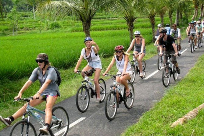 Bali Countryside Cycling Tour by Halo Bike Tour - Pickup at 7:30 and the morning rhythm you should plan for