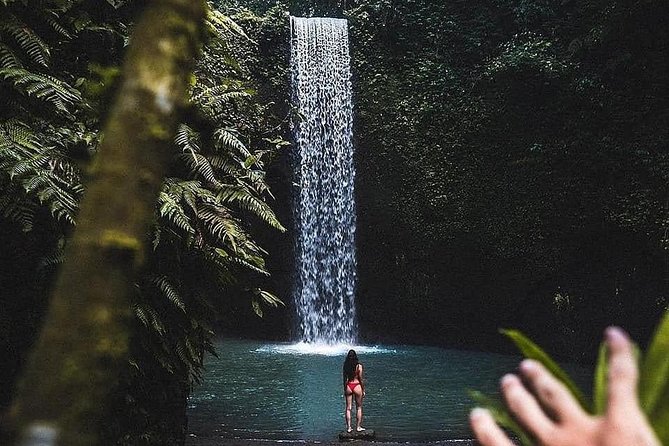 Bali Culture and Choose Your Bali Tour Route in Bali with Bali driver-Free WIFI - South Bali cultural landmarks and seafood sunset: Garuda Wisnu Kencana and Jimbaran