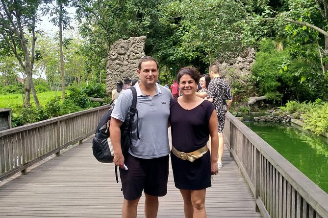 Bali Culture And Spring Temple Private Guided Tour - Tegalalang Rice Terrace: Views, Lunch Options, and the Swing Detour