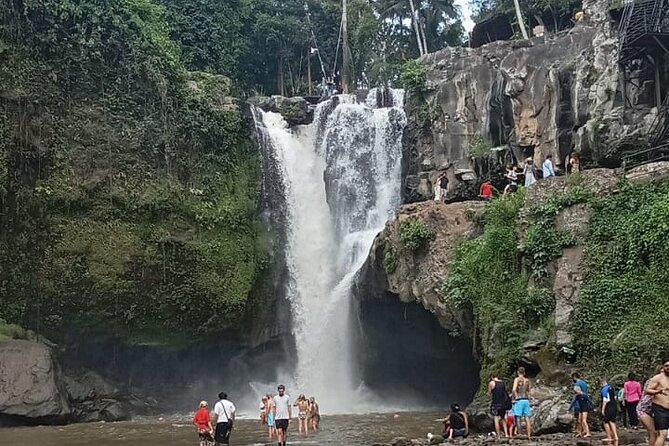 Bali Culture And Spring Temple Private Guided Tour - Tampaksiring Tea Time: A Breather With Garden Photos