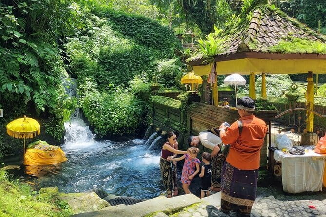 Bali Customizable Multi Language Tour with Driver-Guide - Key things that make this tour worth your time