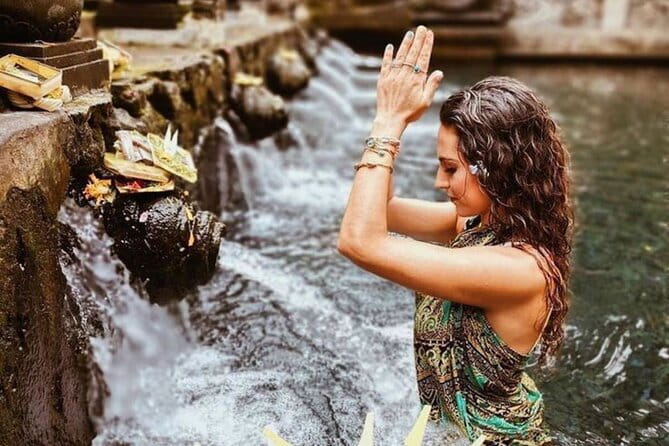 Bali Customizable Multi Language Tour with Driver-Guide - Who this tour suits best (and who should consider other options)