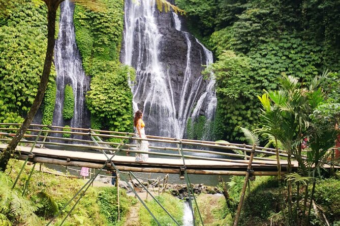 Bali-Customized Private Day Tour - How a customized private day makes Bali easier