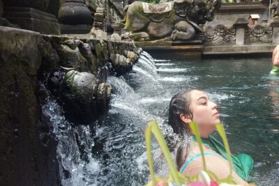 Bali-Customized Private Day Tour - Ulun Danu Beratan and North Bali: waterfalls, gates, and a cooler change of pace