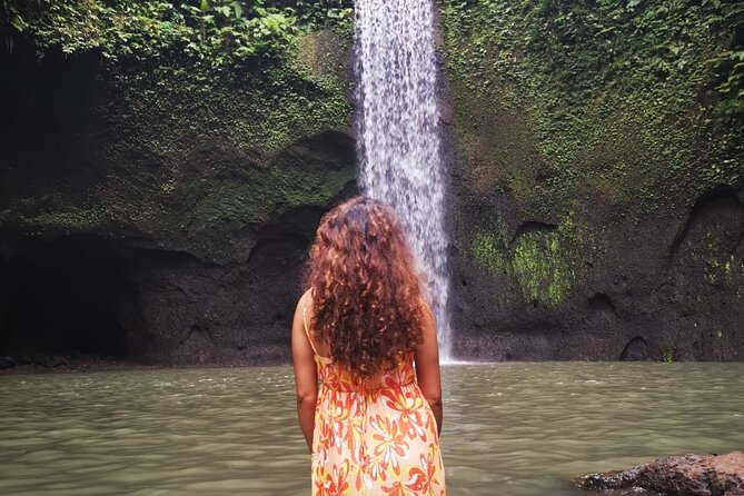 Bali-Customized Private Day Tour - Price and value: $41 plus small admissions, not a surprise bill storm