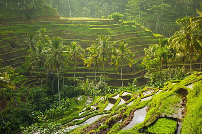 Bali Customized Private Tour - Wayan-style guidance: friendly, on time, and route-smart