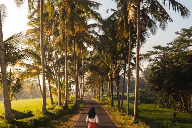 Bali Customized Tour Private Car and Driver - The exact stop list: what each place is like (and what to consider)
