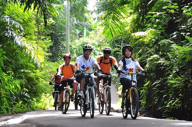 Bali Cycling and Ubud Waterfall Tour - Private cycling from Seminyak to Ubud: the vibe