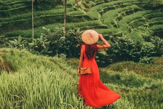 Bali Day Trip to Ubud Highlight Tour and Tanah Lot Temple - How to enjoy 8 to 10 hours without feeling rushed