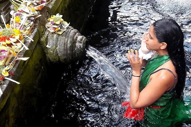 Bali Day Trip: Ubud Temples & Hidden Waterfalls - Price and Logistics: What You’re Paying for With This Ubud Day Trip