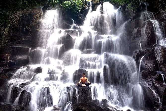 Bali Day Trip: Ubud Temples & Hidden Waterfalls - Stop 4: Tegalalang Rice Terrace for Photos, Craft, and Traditional Irrigation