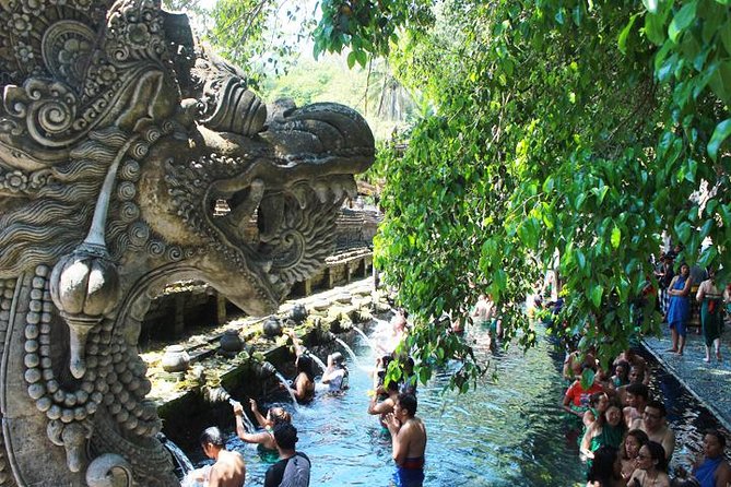 Bali Day Trip: Ubud Temples & Hidden Waterfalls - Who This Bali Day Trip Is Best For (and Who Might Skip It)