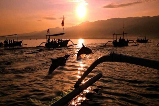 Bali Dolphin Lovina tour and Ulundanu Beratan - Private Tour Benefits: Staying Flexible With Your Group