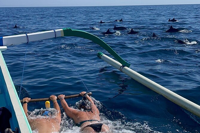 Bali : Dolphin Sunrise Experience Tour Private All Inclusive - Key highlights you will feel from the start