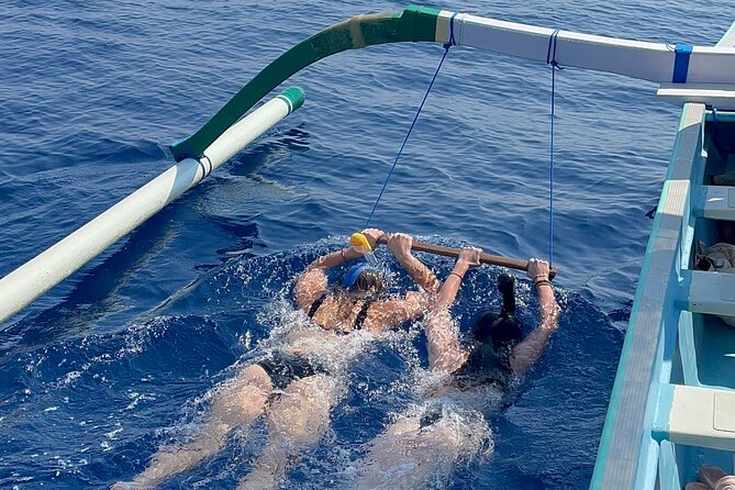 Bali : Dolphin Sunrise Experience Tour Private All Inclusive - Why a North Bali sunrise day really starts so early