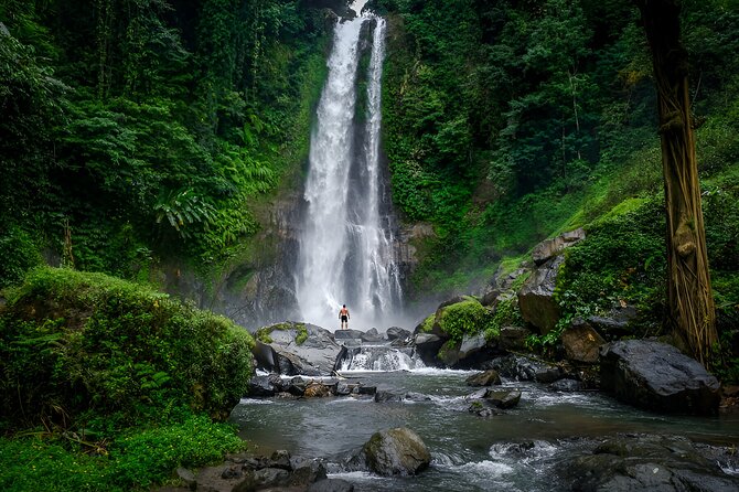 Bali Dolphin Watching Sunrise Tour in Lovina Beach - Lake Tamblingan and the wider Buyan area: why Bedugul feels different