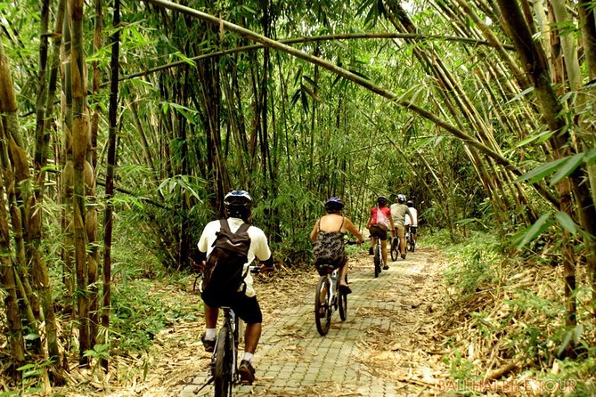 Bali Downhill Cycling and White Water Rafting - Price and value: how $100 stacks up for this Bali combo