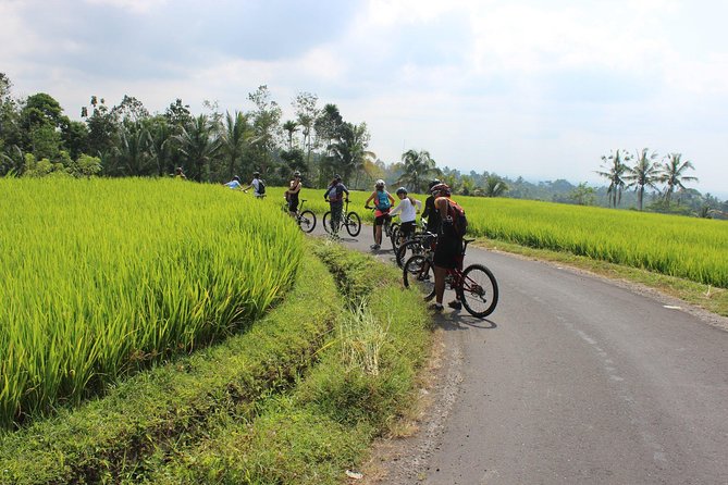 Bali Downhill Cycling and White Water Rafting - Should you book Bali Downhill Cycling and White Water Rafting?