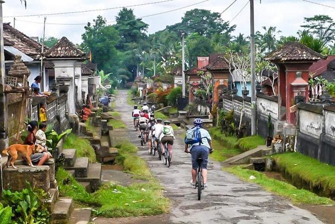 Bali Downhill Cycling and White Water Rafting - Downhill cycling through rice paddies, irrigation, temples, and villages