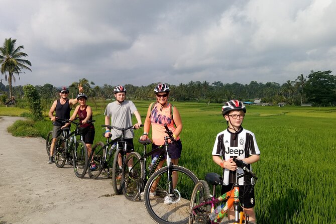 Bali Downhill Natural Cycling Tour & visit Volcano - The Mount Batur Lookout: Crater Lake Views in Kintamani