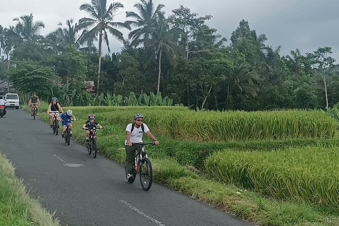 Bali Downhill Natural Cycling Tour & visit Volcano - Banjar Laplapan Lunch: Balinese Food Plus Real Options