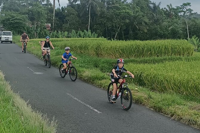 Bali Downhill Natural Cycling Tour & visit Volcano - Price and Value: Why $50 Can Work Here