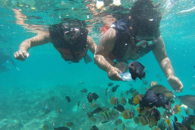 Bali: Fishing trip & Blue Lagoon Snorkeling with Lunch - Tanjung Jepun snorkeling: a second reef stop makes the day feel longer