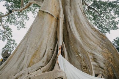 Bali Flying Dress VIP Ubud Photoshoot (Private with Professional Photographer) - From Handara Gate to the 700-year banyan tree: how the day starts